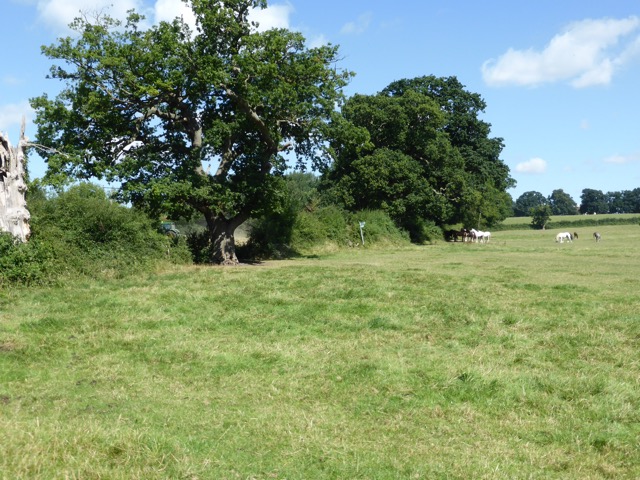 6.8.2018 ( Section 10 )