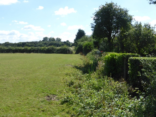 6.8.2018 ( Section 10 )