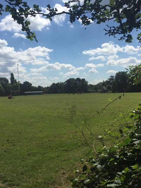 6.8.2018 ( Section 10 )