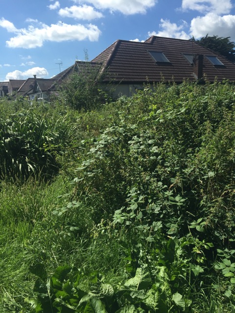 6.8.2018 ( Section 10 )