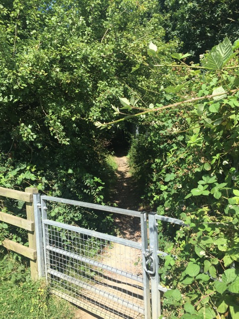 6.8.2018 ( Section 10 )