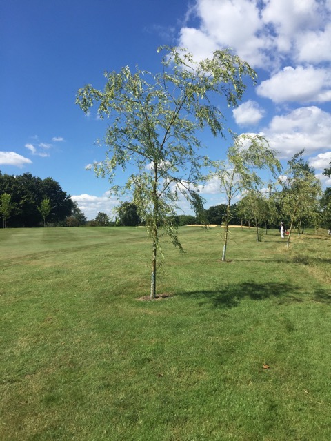 6.8.2018 ( Section 10 )