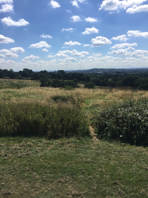 6.8.2018 ( Section 10 )