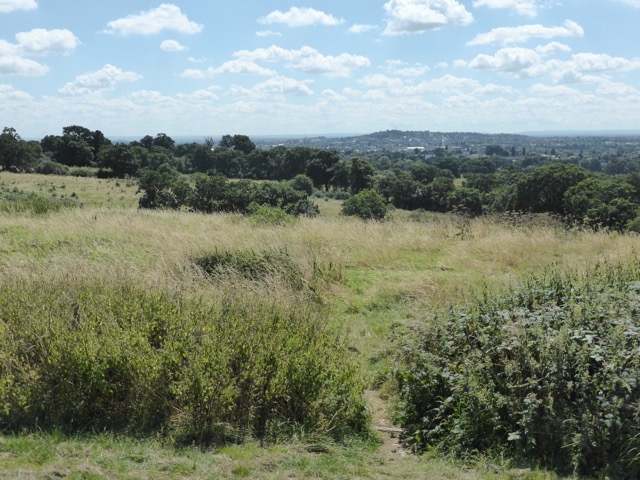 6.8.2018 ( Section 10 )