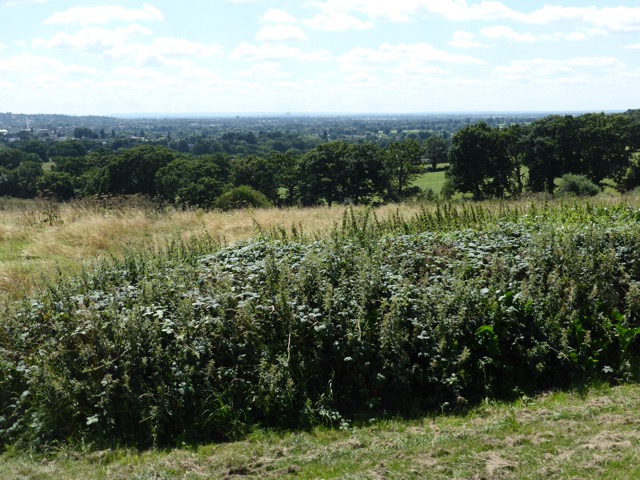 6.8.2018 ( Section 10 )