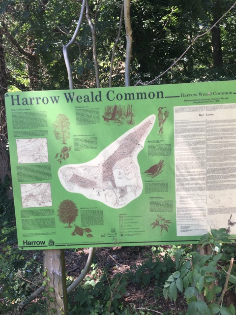 6.8.2018 ( Section 10 )