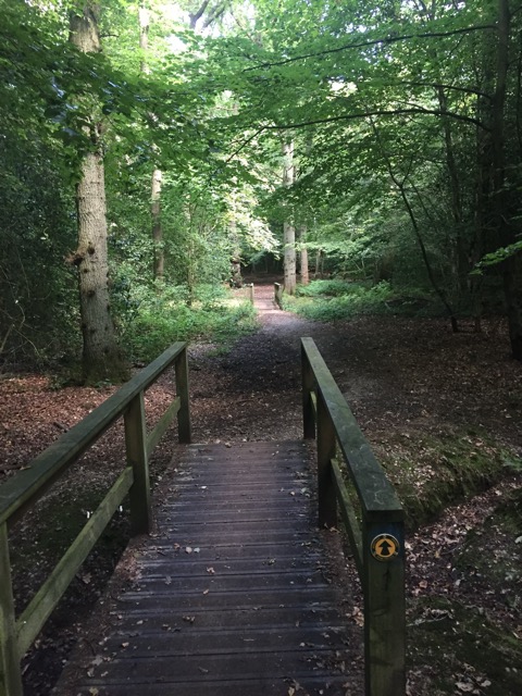 6.8.2018 ( Section 10 )