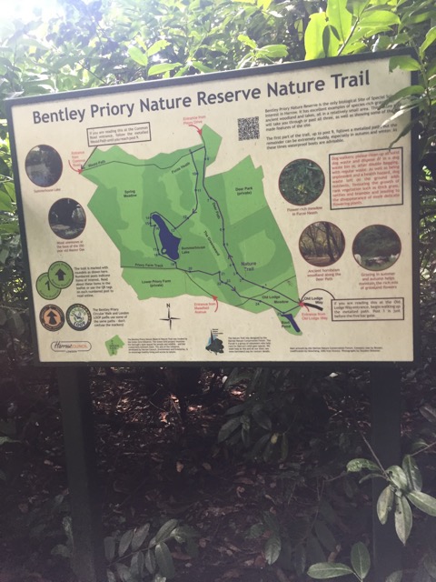 6.8.2018 ( Section 10 )