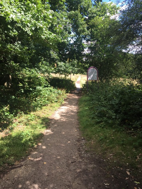 6.8.2018 ( Section 10 )