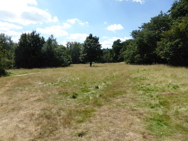 6.8.2018 ( Section 10 )