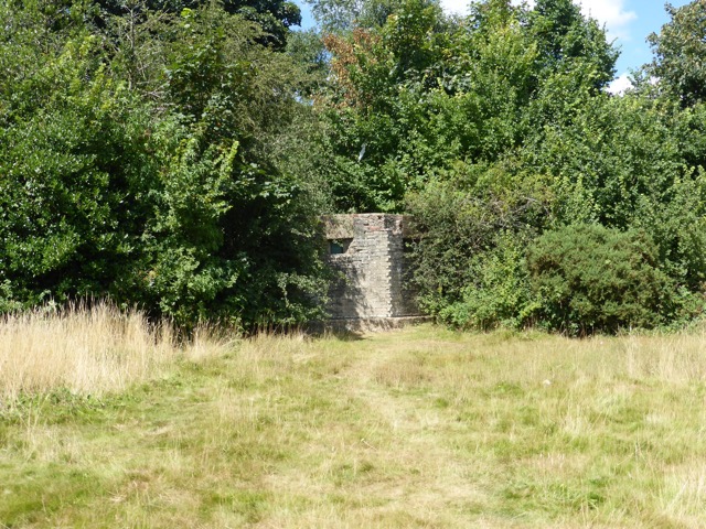 6.8.2018 ( Section 10 )