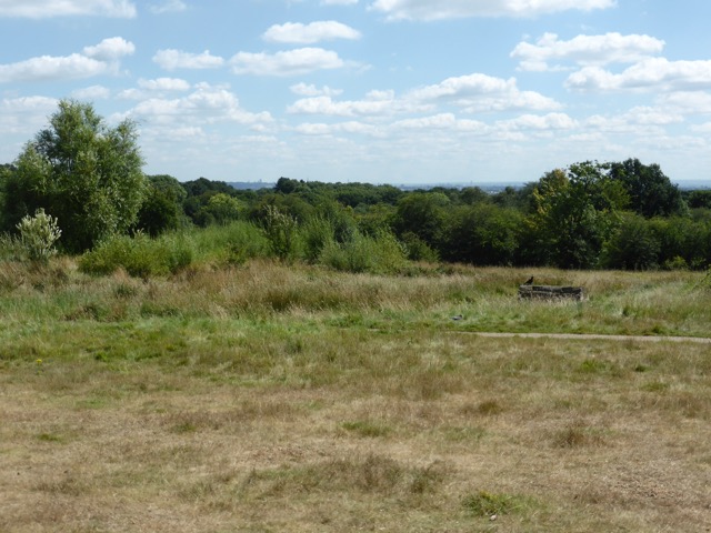 6.8.2018 ( Section 10 )