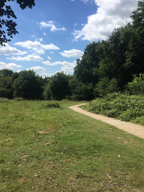 6.8.2018 ( Section 10 )