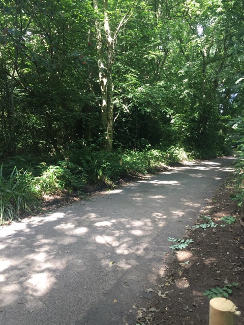 6.8.2018 ( Section 10 )