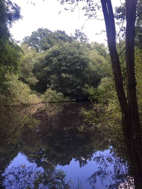 6.8.2018 ( Section 10 )