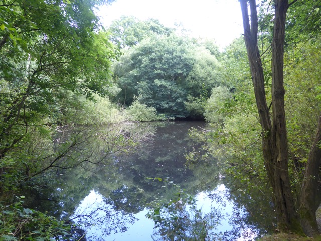 6.8.2018 ( Section 10 )