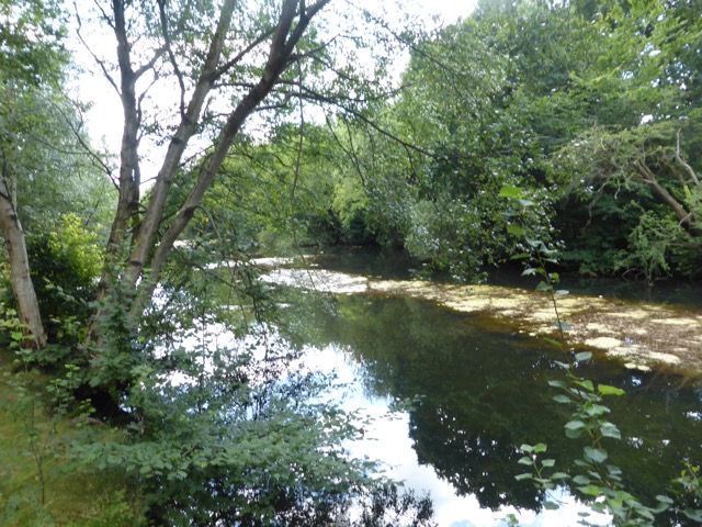 6.8.2018 ( Section 10 )