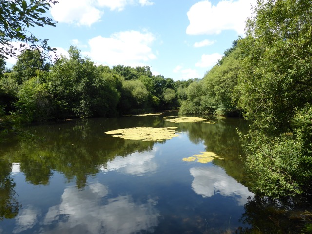 6.8.2018 ( Section 10 )