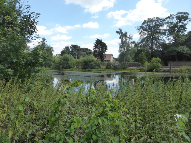 6.8.2018 ( Section 10 )