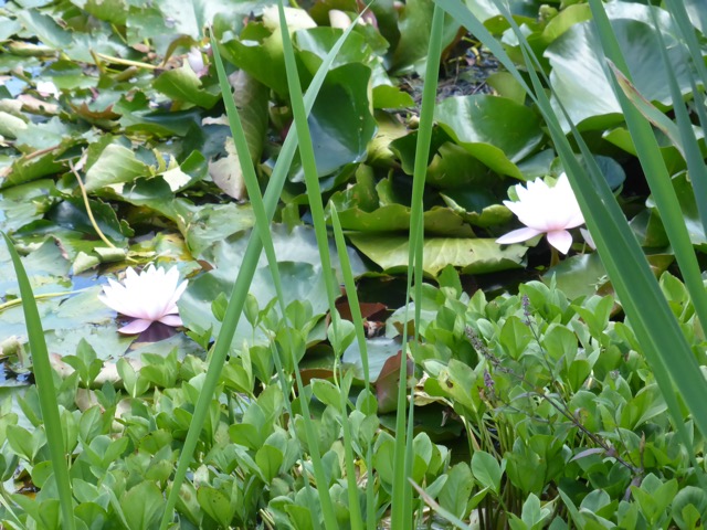 6.8.2018 ( Section 10 )