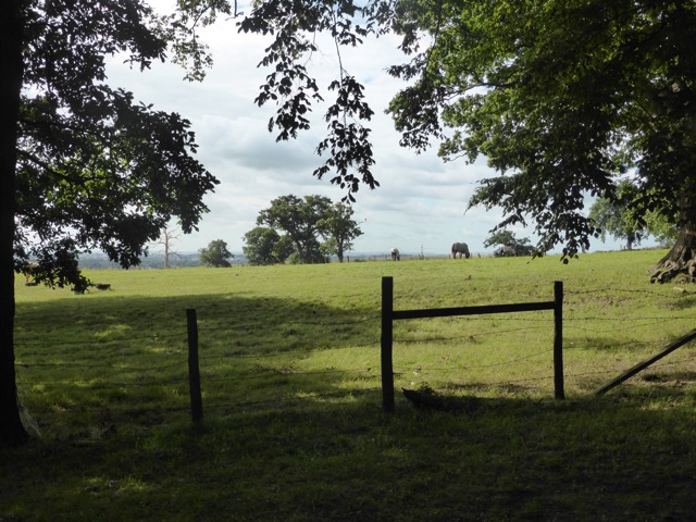 19.8.2017 ( Section 12 )