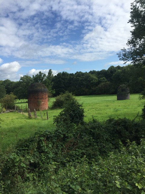 19.8.2017 ( Section 12 )