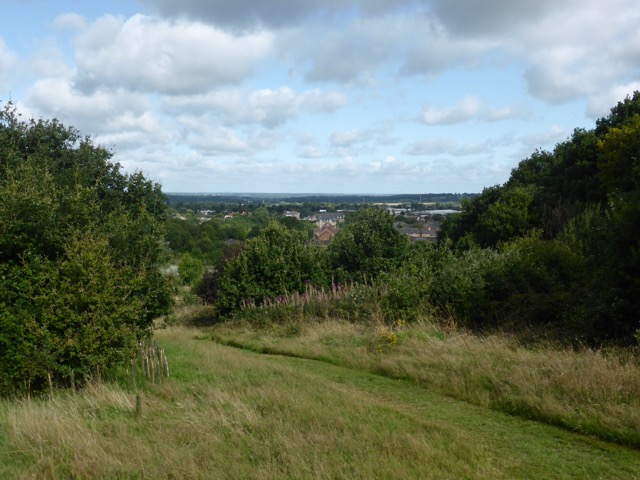 19.8.2017 ( Section 12 )