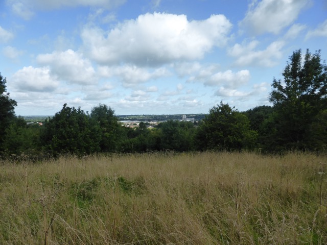 19.8.2017 ( Section 12 )