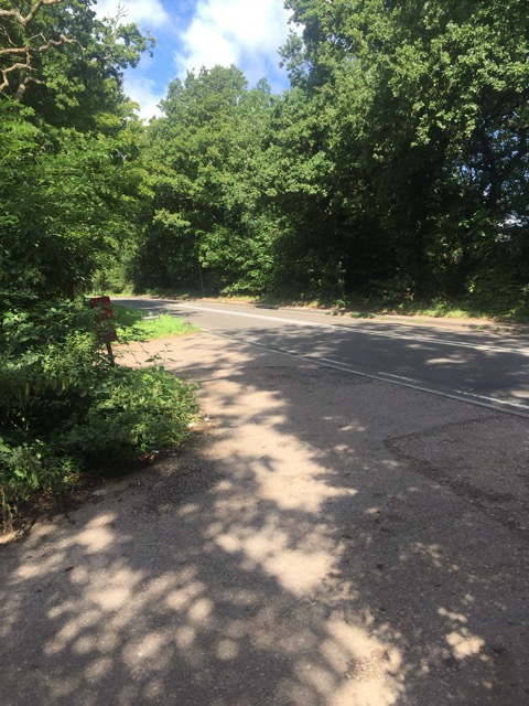 19.8.2017 ( Section 12 )