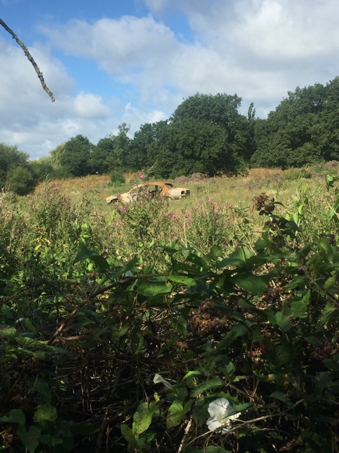 19.8.2017 ( Section 12 )