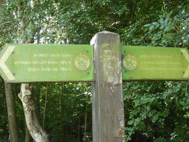 19.8.2017 ( Section 12 )