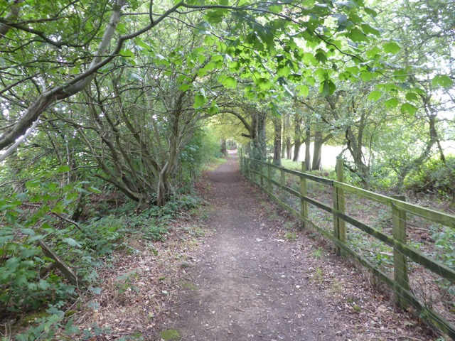 19.8.2017 ( Section 12 )