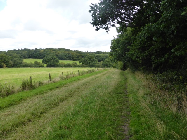 19.8.2017 ( Section 12 )