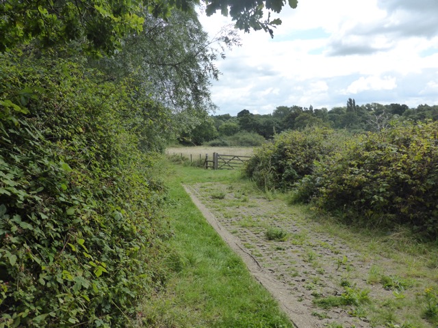 19.8.2017 ( Section 12 )