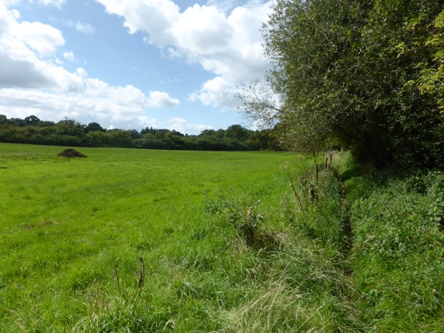 19.8.2017 ( Section 12 )