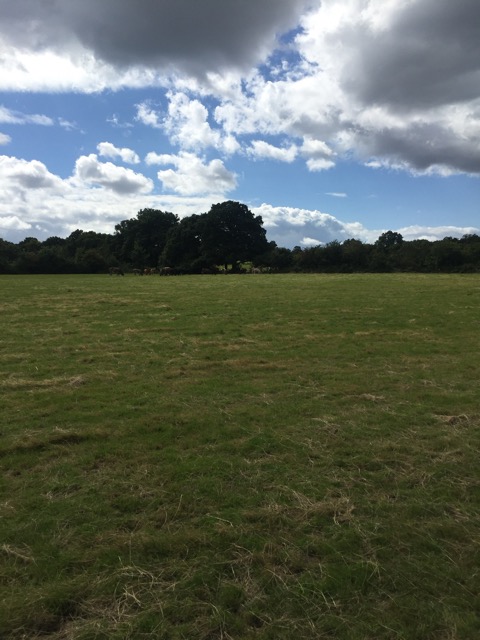 19.8.2017 ( Section 12 )