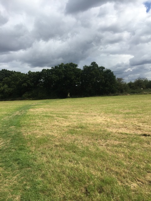 19.8.2017 ( Section 12 )