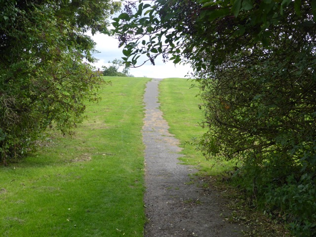 19.8.2017 ( Section 12 )