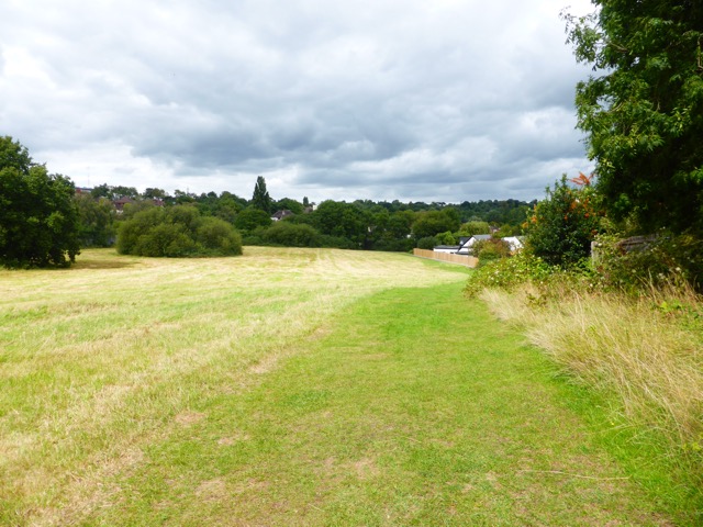 19.8.2017 ( Section 12 )