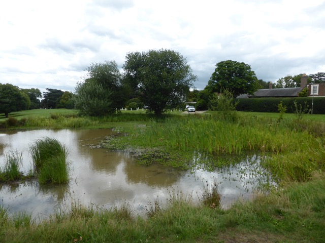 19.8.2017 ( Section 12 )