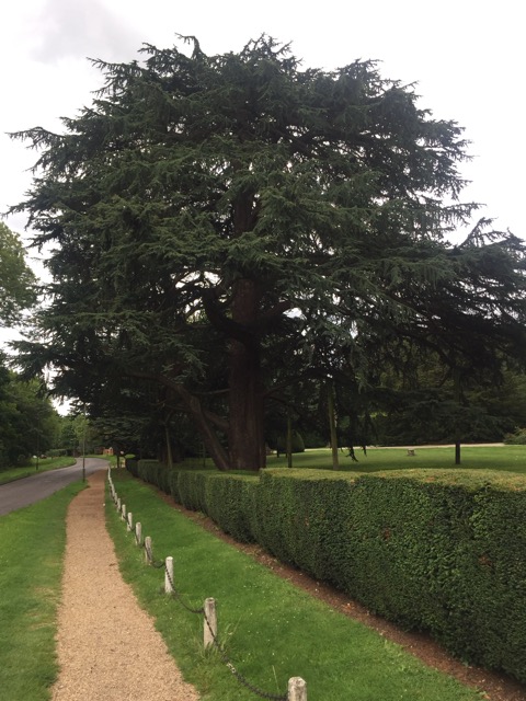 19.8.2017 ( Section 12 )