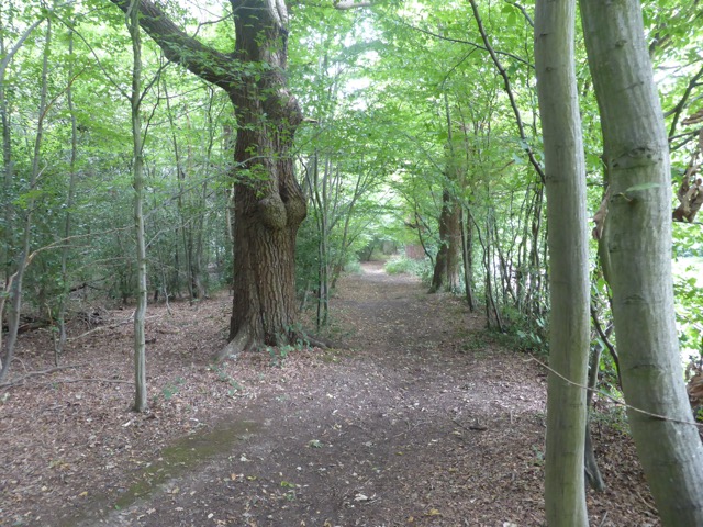 19.8.2017 ( Section 12 )