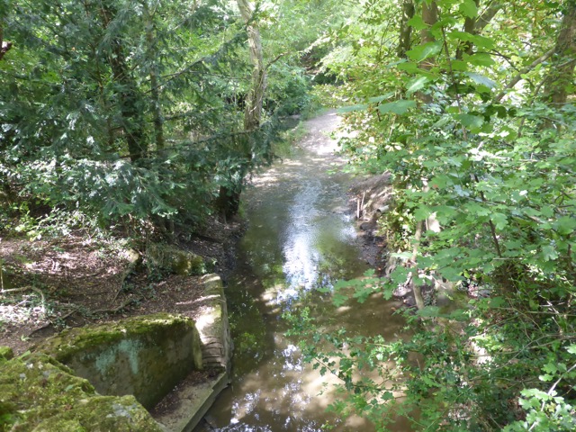 19.8.2017 ( Section 12 )