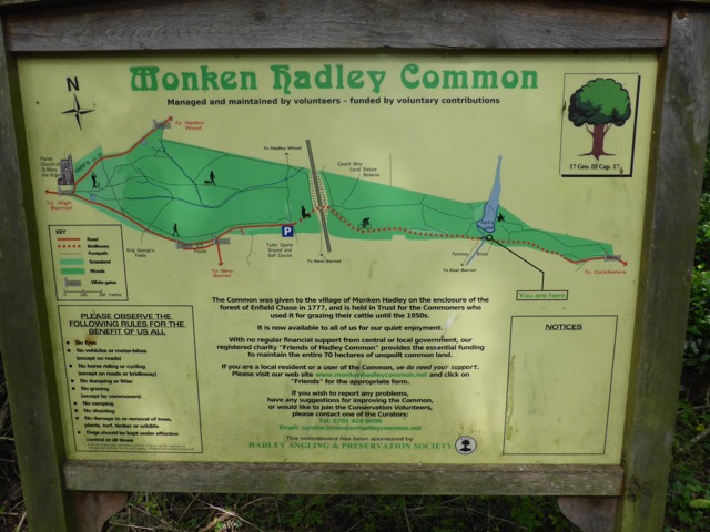 19.8.2017 ( Section 12 )