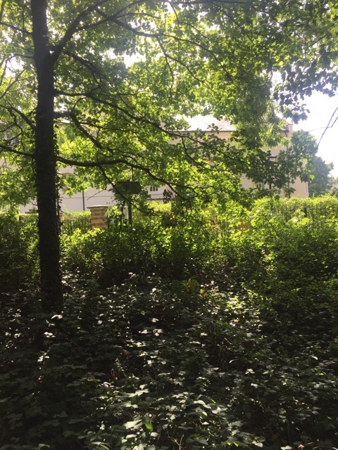 19.8.2017 ( Section 12 )