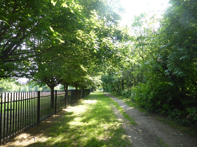 22.5.2018 ( Section 13 )