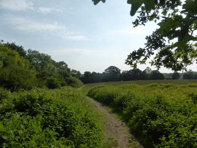 22.5.2018 ( Section 13 )