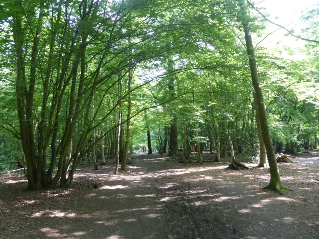 22.5.2018 ( Section 13 )