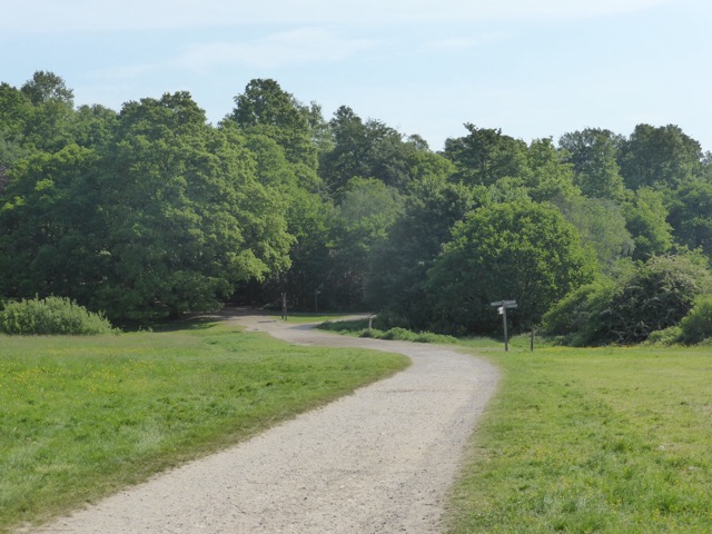 22.5.2018 ( Section 13 )