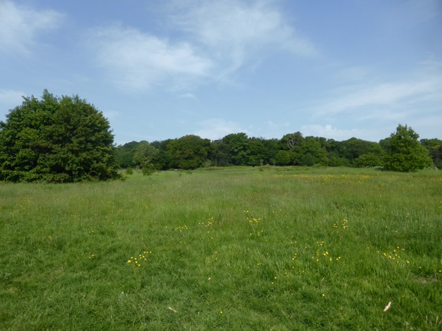 22.5.2018 ( Section 13 )